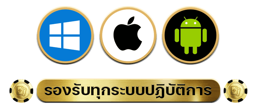 ระบบpung888plus